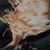 Kathy Ward-Cellucci's profile image