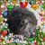 Joanne Dahlia's profile image
