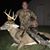 John Helfant's profile image