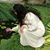 Roshni Ahuja Doulatani's profile image