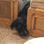 Donna Mccaleb's profile image