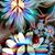Barbara Miller's profile image