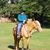 Catherine Smith's profile image