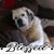 Diane Bishop's profile image