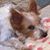 Nancy Langenburg Smith's profile image