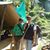 Urmil Shingala's profile image