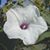 Casandra Brasher's profile image