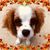 Maria V Throckmorton's profile image