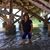 Jayne Ellen's profile image
