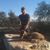 William Lehrer's profile image
