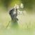 Mary Christenson's profile image