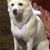 Brad Vogler's profile image