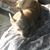 Bonnie Enea's profile image