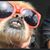 Keys Stone's profile image