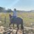 Laura Rodrigues's profile image