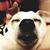 M Marie Overson's profile image