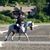 Cynthia Tucker Catto's profile image