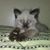 Susana Heredia's profile image