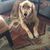 Amy Kort Levene's profile image
