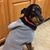 Beverly Powden's profile image