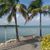 Yolanda Mills-Bosley's profile image