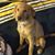 Connie Maske's profile image