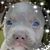 Connie Paul's profile image
