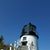 Theresa F Pitner Collins's profile image