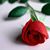 Alex Rocy Morales Cruz's profile image