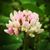 Heather M Hadley-Maycroft's profile image
