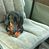 Laura Mathews White's profile image