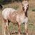 Cherie Edmonds Cassel's profile image