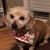 Judy Lynn Gallagher's profile image