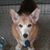 Gwen Freudigman's profile image