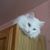 Helen Zuhoski's profile image