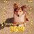 Joyce Dauber's profile image