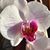 Lynn Baker's profile image