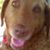 Carol Kramer's profile image