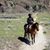 Diane Robinson's profile image