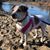 Pamela McGaugh Gregory-jones's profile image