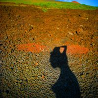 Marci Sandler's profile image