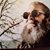 Mike Wingfield's profile image