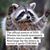 Missy Mcbride's profile image