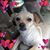 Jeremy N Danielle Stimmell's profile image