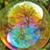 Susan Hembree Friedman's profile image