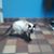 Sarah Door's profile image