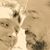 KT Livingston's profile image