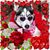 Melanie Sammyzmama Taufique's profile image