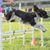 Laura Moss's profile image