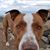 Cyndi Bridges's profile image